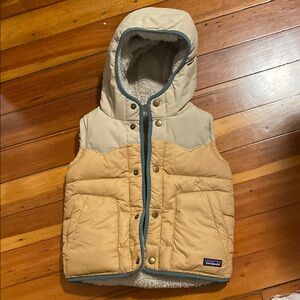 Patagonia Hooded Puffer Vest, shearling lined